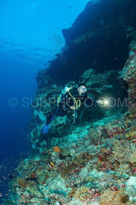 woman diver visiting a coral reef