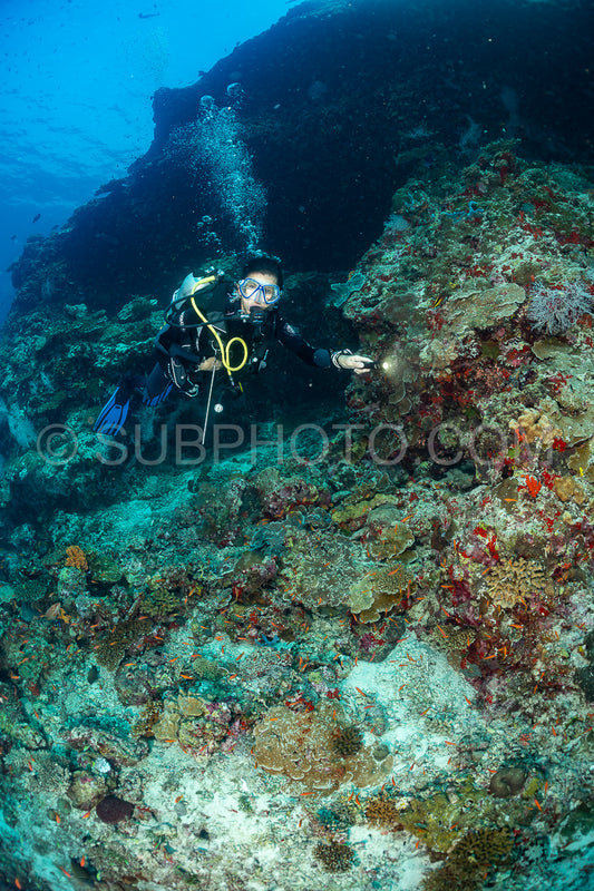 woman diver visiting a coral reef