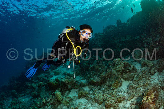 woman diver visiting a coral reef