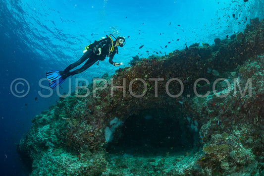 Photo de femme plongeuse visitant un récif corallien