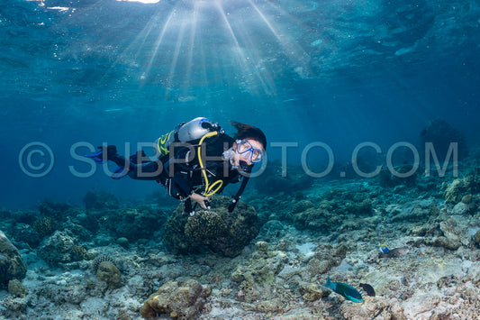 woman diver visiting a coral reef