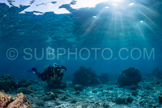 woman diver visiting a coral reef