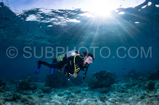 woman diver visiting a coral reef