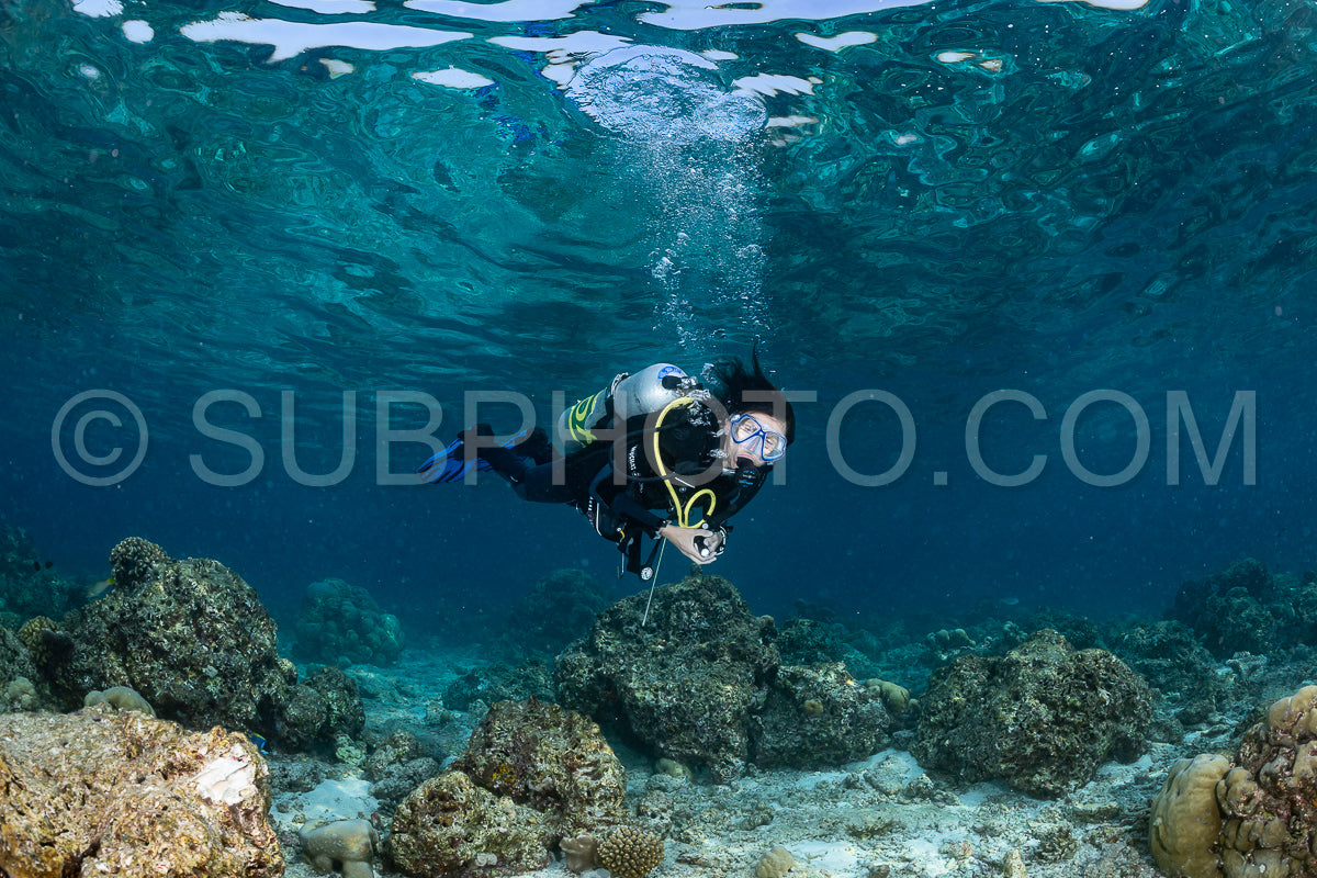 woman diver visiting a coral reef