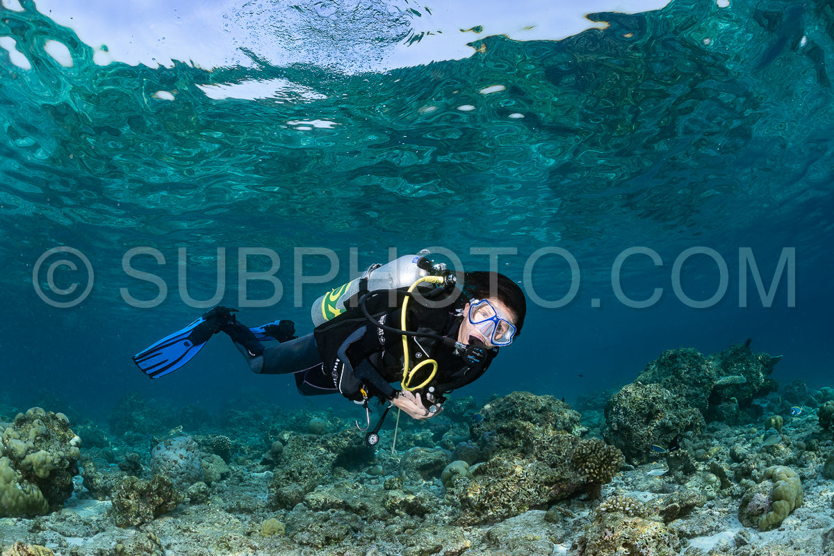 woman diver visiting a coral reef