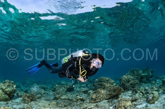 woman diver visiting a coral reef