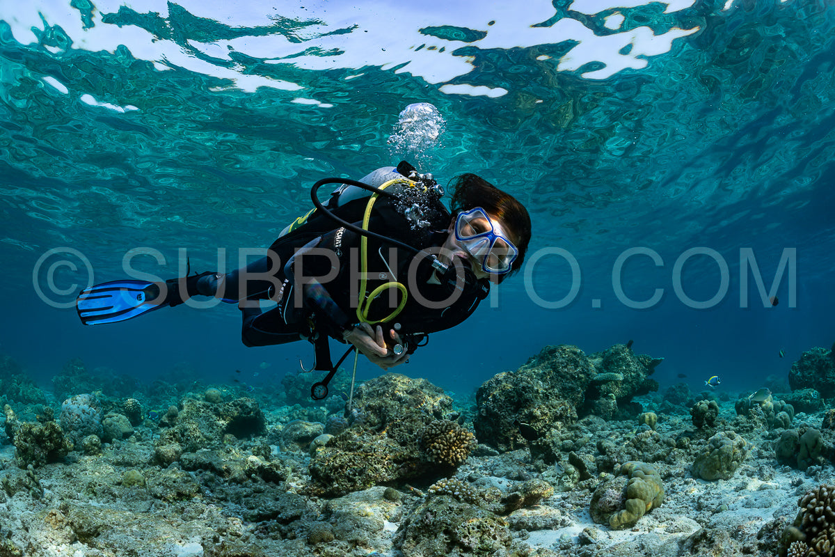 woman diver visiting a coral reef