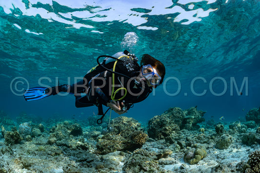 woman diver visiting a coral reef