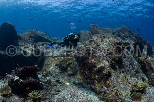 woman diver discovering the beauty of the Komodo National Park caral reef in Indonesia
