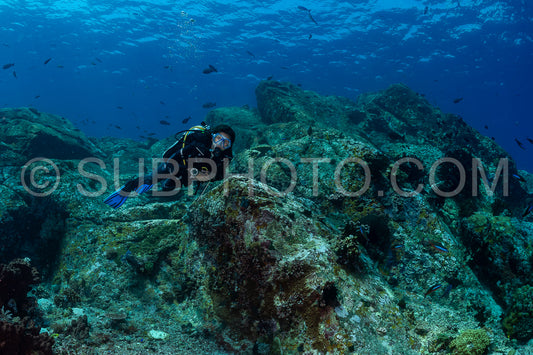 woman diver discovering the beauty of the Komodo National Park caral reef in Indonesia