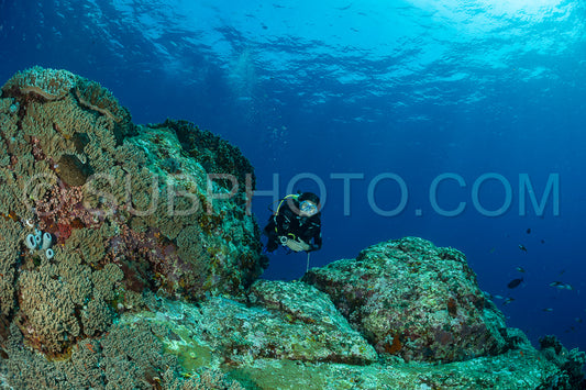 woman diver discovering the beauty of the Komodo National Park caral reef in Indonesia