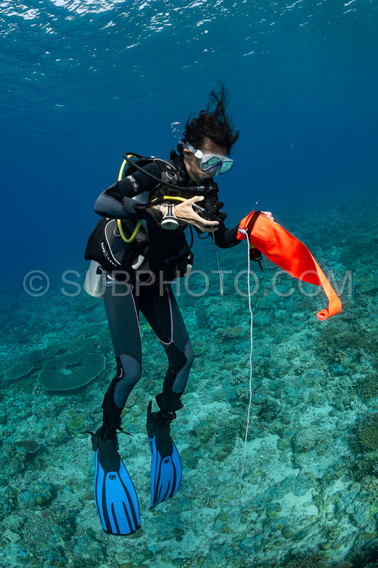 woman diver using a surface marking tube or smb buoy