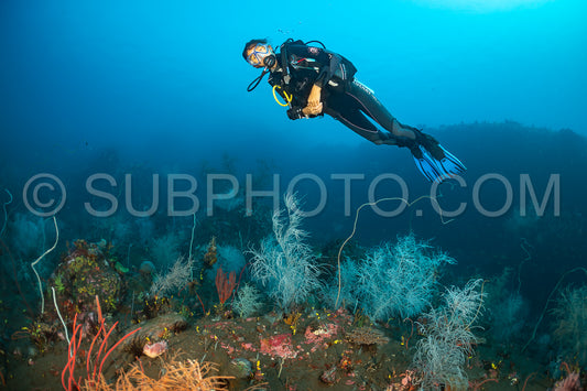 woman diver over a coral reef with volcanic black sand