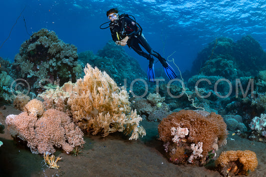 woman diver over a coral reef with volcanic black sand