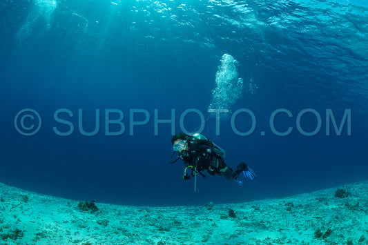 woman diver over a coral reef