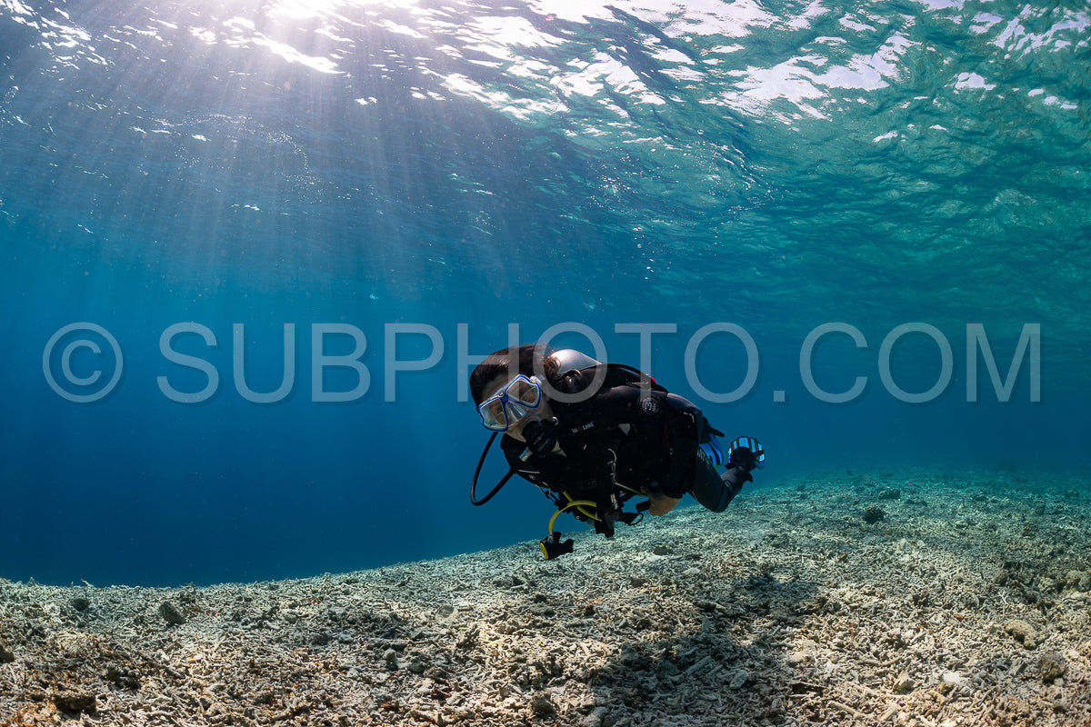 woman diver over a coral reef