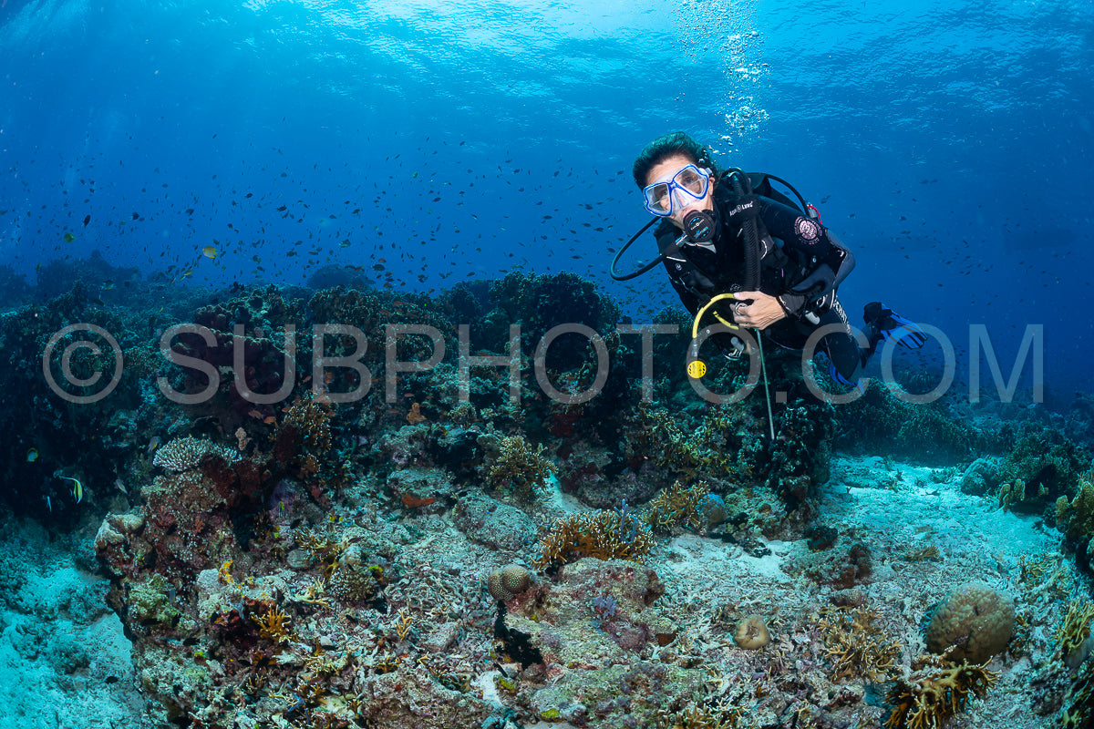 woman diver over a coral reef