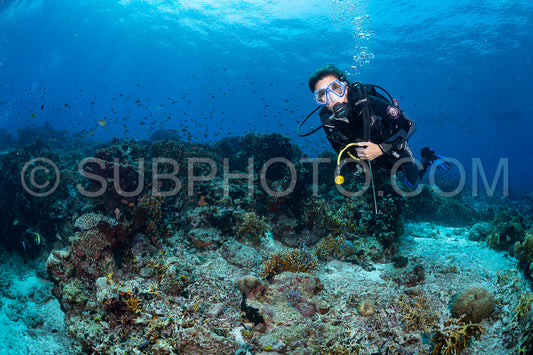 woman diver over a coral reef