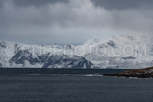 view of KvÃ¦nangen fjord from Seglvik village