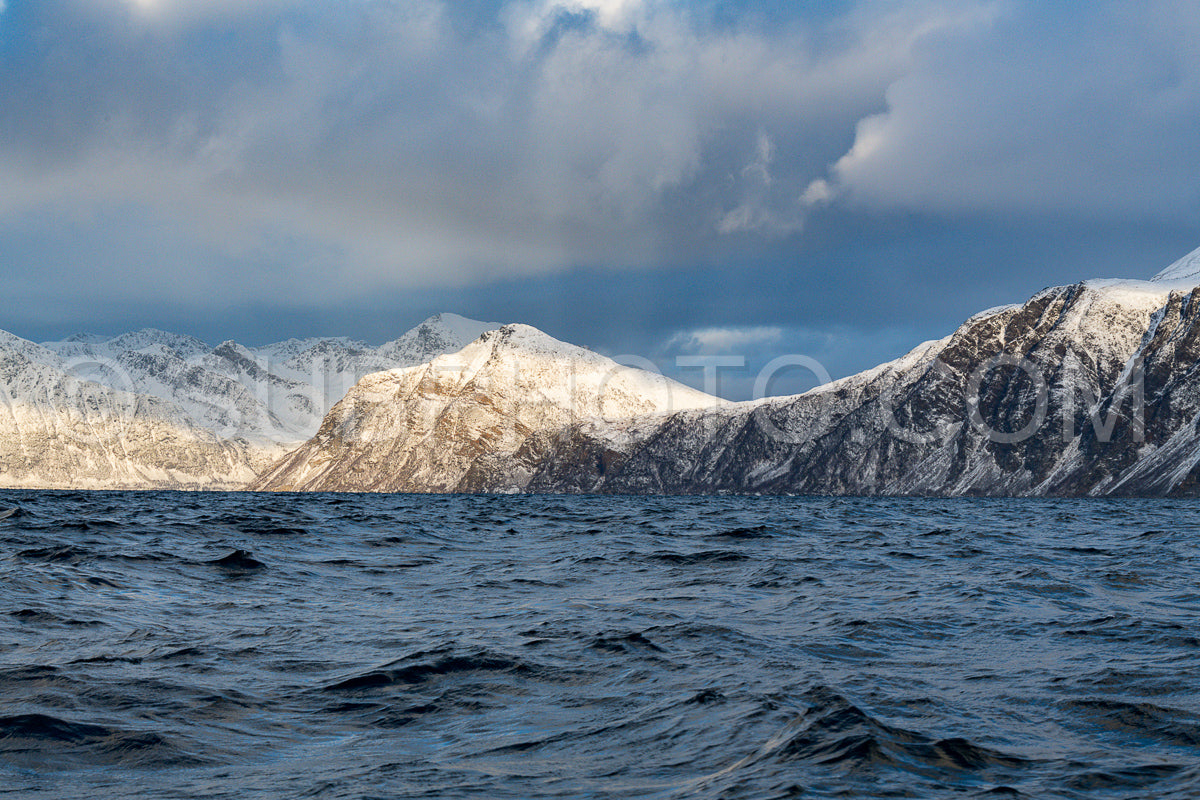view of KvÃ¦nangen fjord from Seglvik village