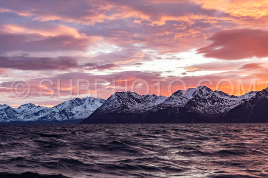 view of KvÃ¦nangen fjord from Seglvik village at dusk
