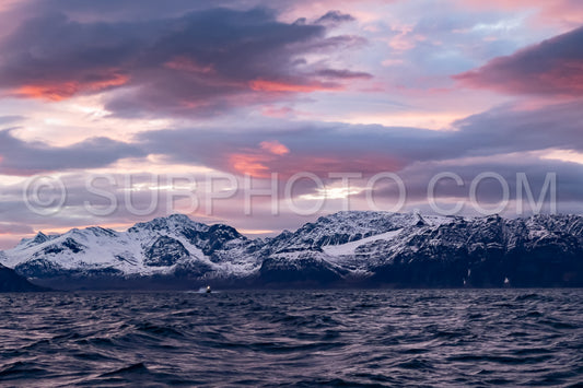 view of KvÃ¦nangen fjord from Seglvik village at dusk