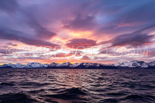 view of KvÃ¦nangen fjord from Seglvik village at dusk