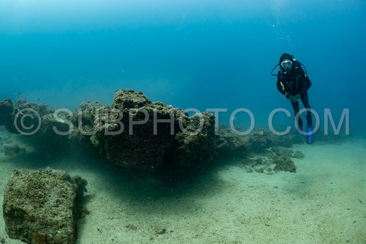 woman diver visiting a coral reef
