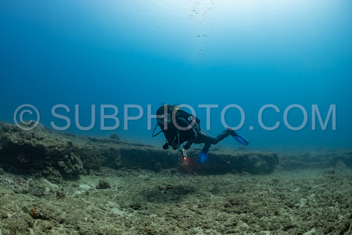 woman diver visiting a coral reef