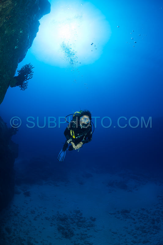 woman diver visiting a coral reef