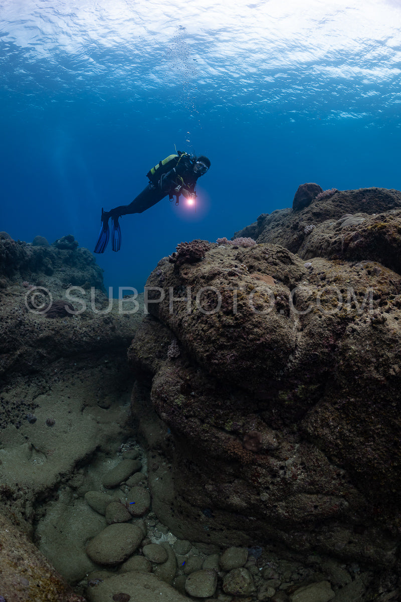 woman diver visiting a coral reef