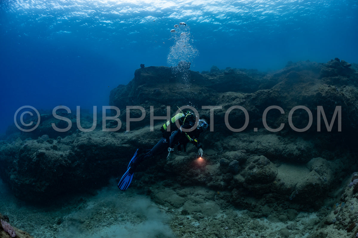 woman diver visiting a coral reef