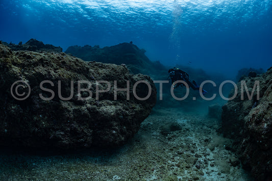 woman diver visiting a coral reef