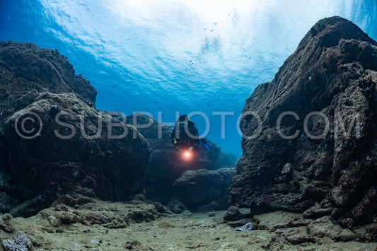 woman diver visiting a coral reef
