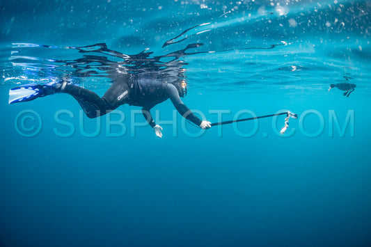 diver with a gopro and a curious white-chinned petrel