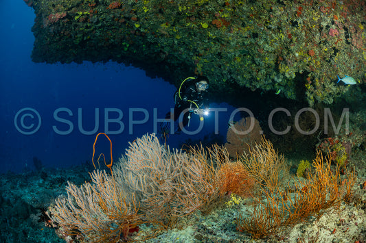 Diver discovering the beauty of the Maldivian coral reefs