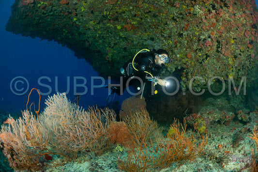 Diver discovering the beauty of the Maldivian coral reefs