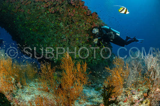 Diver discovering the beauty of the Maldivian coral reefs