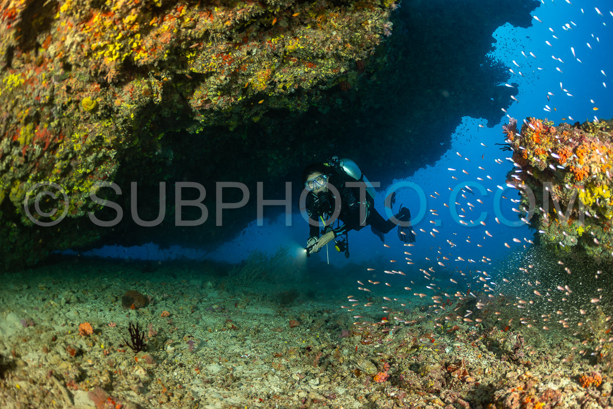 Diver discovering the beauty of the Maldivian coral reefs
