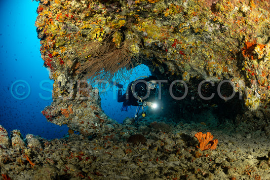 Photo de Plongeur découvrant la beauté des récifs coralliens des Maldives