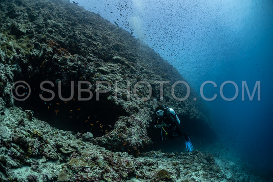 Diver discovering the beauty of the Maldivian coral reefs with abundant life