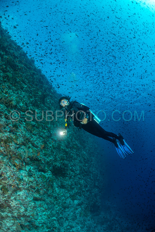 Diver discovering the beauty of the Maldivian coral reefs with abundant life