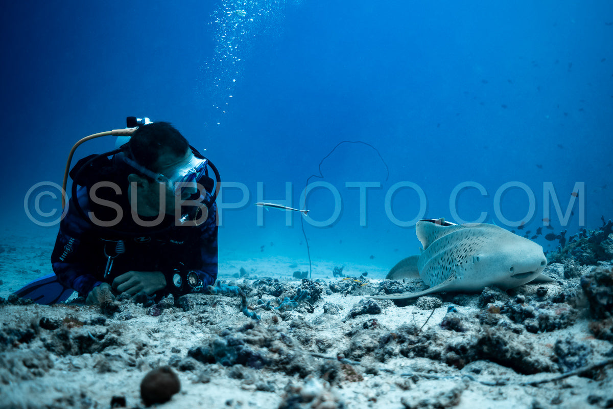 Maldivesfriends2023