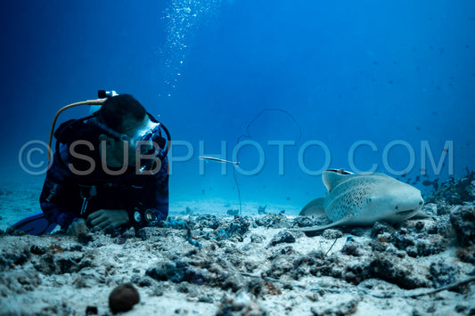 Maldivesfriends2023