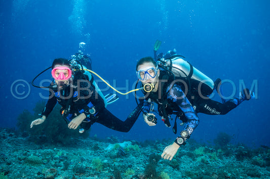 Maldivesfriends2023