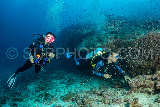 Maldivesfriends2023