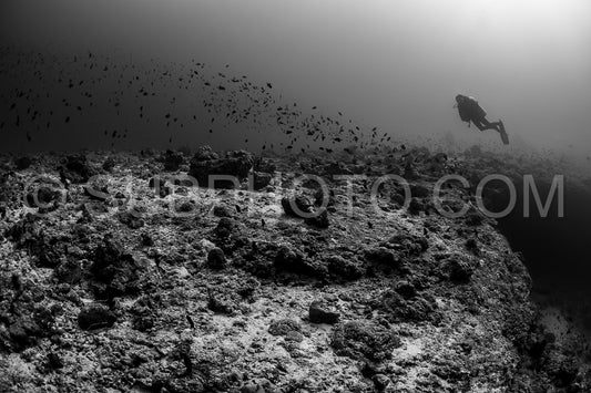Diver discovering the beauty of the Maldivian coral reefs with abundant life