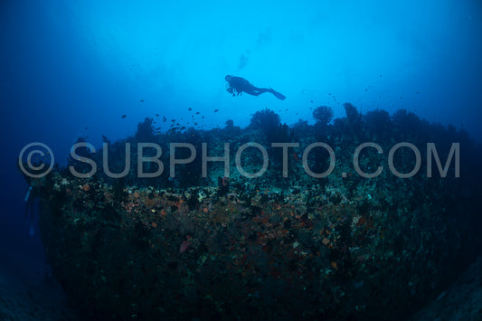 diver over a ship wreck in the Maldives