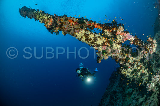 diver over a ship wreck in the Maldives