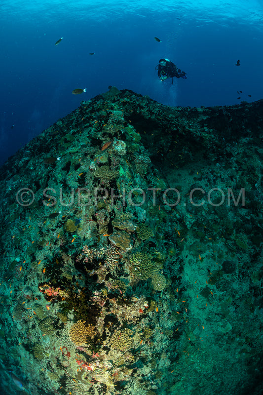 diver over a ship wreck in the Maldives